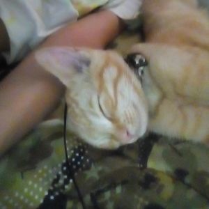 Meet your Posher, Raymond